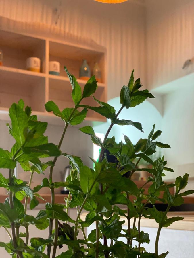 A Casa Del Console Apartment マンフレドーニア エクステリア 写真